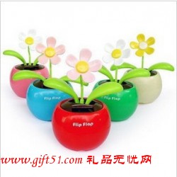 汽車搖擺太陽花