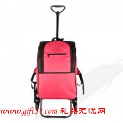 多功能保溫購(gòu)物車(chē)