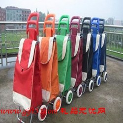 牛二輪購(gòu)物車(chē)定做,兩輪購(gòu)物車(chē)定制