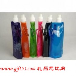 環(huán)保折疊運(yùn)動水袋