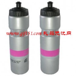 PE塑料運(yùn)動水壺定制,PE水壺定做