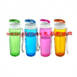夏季炫彩運(yùn)動(dòng)水杯/水瓶