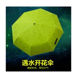 遇水開(kāi)花折疊廣告雨傘