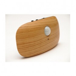 人體感應(yīng)節(jié)能LED燈