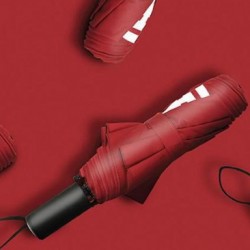 Paul Frank汽車(chē)雨傘