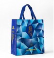 展會(huì)宣傳環(huán)保袋覆膜無紡布袋定制